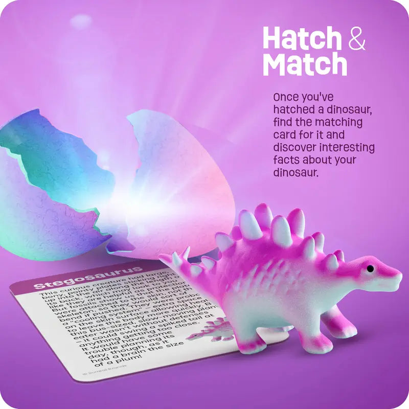 Dino Hatch™ Water-Activated Hatching Dinosaur Eggs (6 Pack)